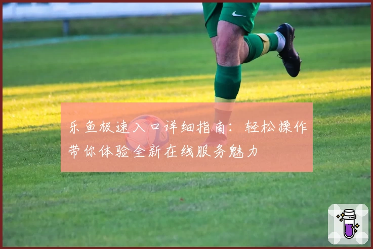 乐鱼极速入口详细指南：轻松操作带你体验全新在线服务魅力