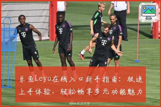 乐鱼Leyu在线入口新手指南：极速上手体验，轻松畅享多元功能魅力