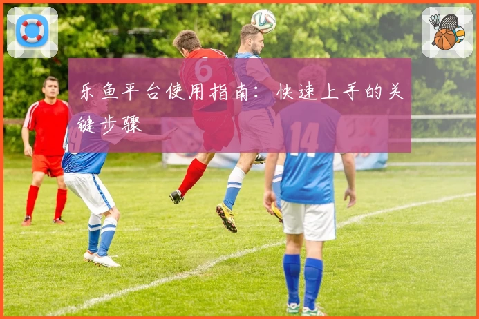 乐鱼平台使用指南：快速上手的关键步骤