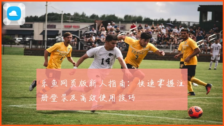 乐鱼网页版新人指南：快速掌握注册登录及高效使用技巧