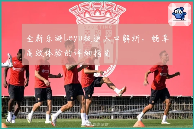 全新乐游Leyu极速入口解析，畅享高效体验的详细指南